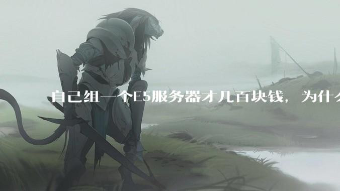 自己组一个E5服务器才几百块钱，为什么去阿里云租这么贵?