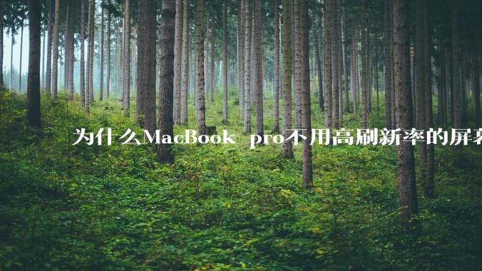 为什么MacBook pro不用高刷新率的屏幕？