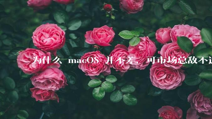 为什么 macOS 并不差，可市场总敌不过 Windows？